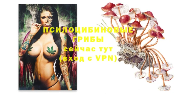 прущие крисы Нея