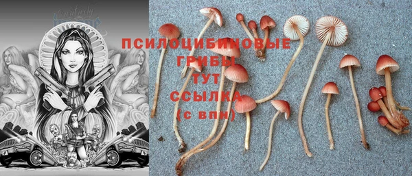 не бодяженный Сатка